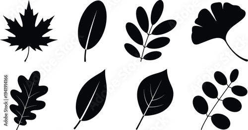 Collection of diverse black leaf silhouettes featuring maple, ginkgo, and various botanical shapes, perfect for nature design, plant identification, and educational illustration projects