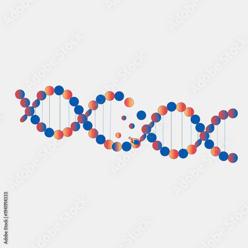 Stylized DNA Double Helix with Gradient Spheres on White Background