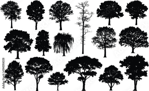 Vector illustration of diverse tree silhouettes including willow, leafless, rounded, and drooping canopies symbolizing nature, identity