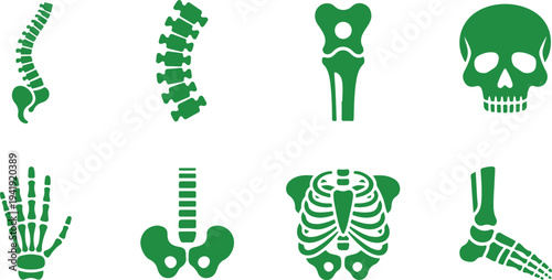 Illustrated collection of human skeletal system parts in green color isolated on transparent background