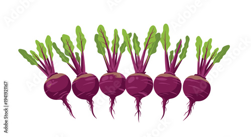 Six identical purple beets, each with green leafy foliage and slender roots, are neatly aligned in a gentle arc on a pure white background.