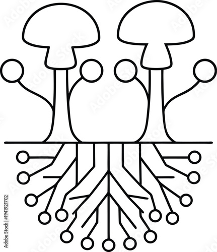mycelium fungi network line art vector illustration on transparent background