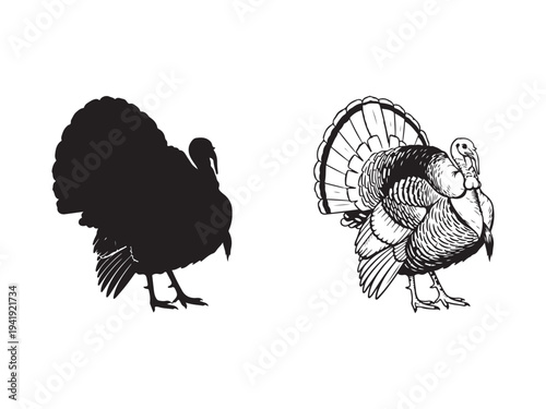 A vector file with text on a white background