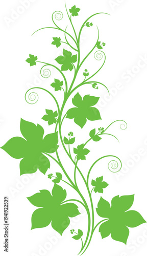 Vertical grape vine illustration with maple shaped leaves and spiral tendrils
