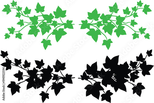Ivy leaf clusters in green and black silhouettes for graphic design