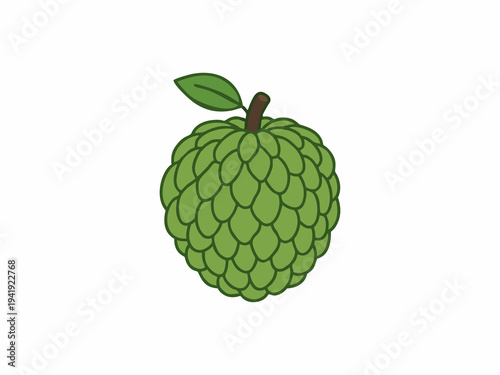Sugar apple fruit vector illustration isolated on white background
