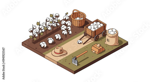 Isometric cotton farm scene with harvest tools and plants