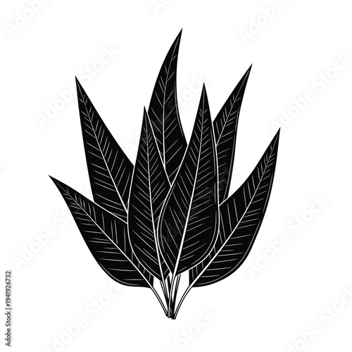 Stylized black and white illustration of a feathered leaf or plant motif illustration