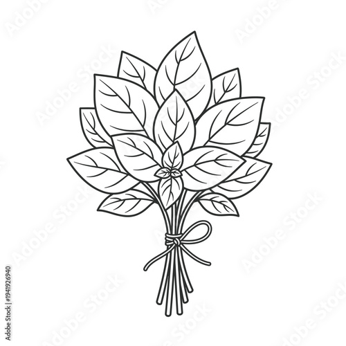 Elegant botanical illustration of a leafy branch with bound stems illustration