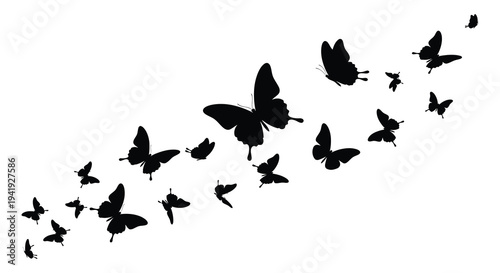 A graceful swarm of butterflies takes flight in a striking black silhouette high quality professional detailed