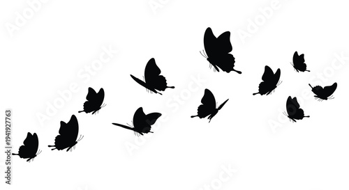 A collection of black butterflies in flight against a stark white background silhouette high quality professional