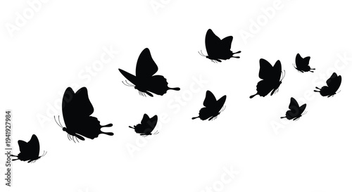 A delicate scattering of butterflies takes flight across a bright white background silhouette high quality professional