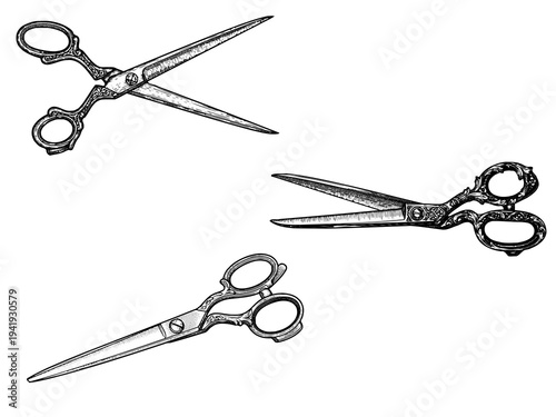 Antique Scissors Tailor Engraving Illustration