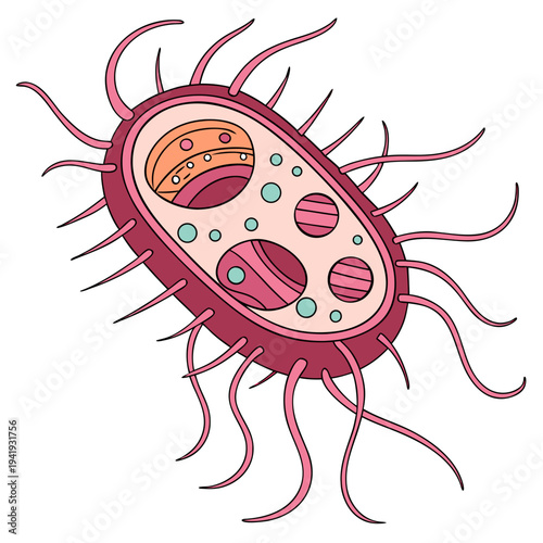 Pink bacteria with flagella and organelles microorganism