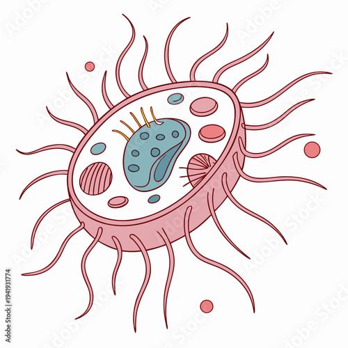 Pink virus cell with tentacles and organelles cell structure