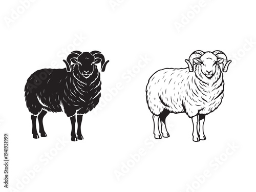 A vector file with text on a white background