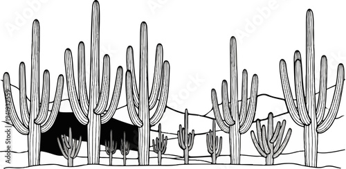A monochromatic, stylized illustration of a desert landscape featuring a variety of cactus plants