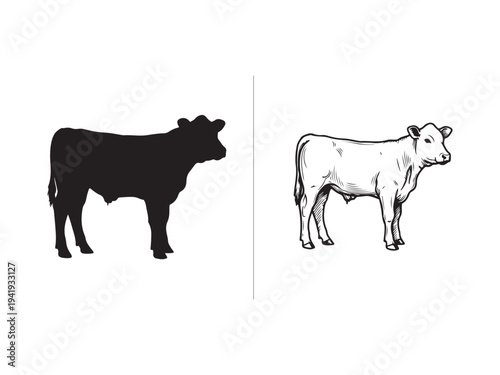 A vector file with text on a white background