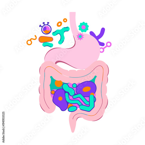 Microbiome Gut Bacteria Illustration