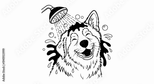 A happy dog joyfully gets a bath under a shower
