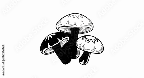 A graphic illustration of three detailed mushrooms in black and white