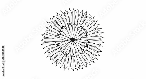 A radial arrangement of sharpened pencils forming a circular, floral-like pattern