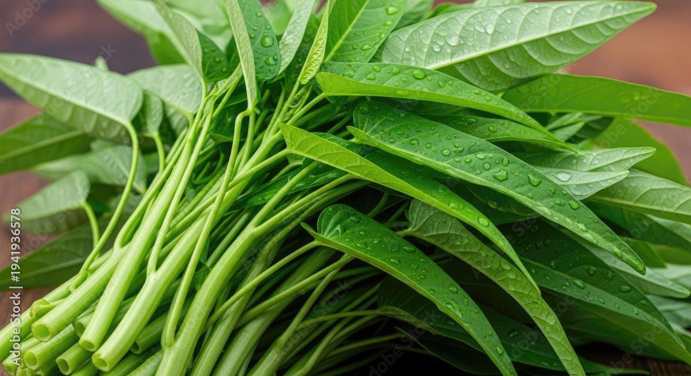 Fototapeta premium Fresh Water Spinach - A Healthy Green Vegetable.