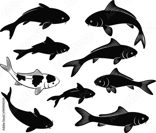 Koi fish silhouettes illustration showing swimming positions, carp species, aquatic design, marine life, stylized vector art for nature themes