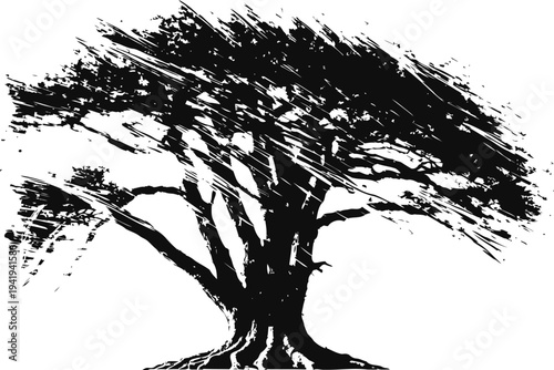 Silhouette of a large spreading tree with dense foliage and thick trunk on white background