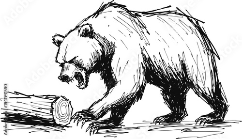 Bear scratching tree stump with claws wild animal in natural wildlife environment black ink sketch drawing