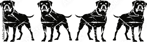 four black labrador retriever dogs standing side by side on white background