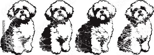 Four black and white stylized illustrations of a small fluffy dog sitting and facing forward
