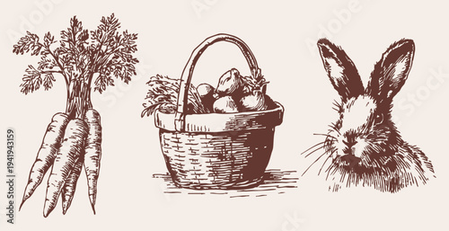 Organic carrot bunch wicker basket farm produce set. Illustration for grocery packaging or menu design. Classic pencil drawn sketch illustration style with fresh agricultural vegetables.
