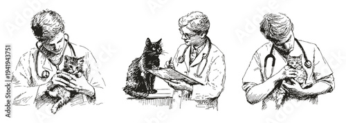 Veterinarian examining kitten and writing medical notes. Illustrations for veterinary clinics and pet care. Pencil drawing style shows doctor with stethoscope holding small cat.