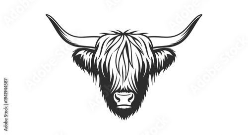 Bold highland cow head with long horns in black and white line art