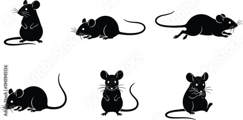Black silhouette mice collection isolated on white background, cute rodent poses set, vector style animal icons for pest control, wildlife illustration design pack