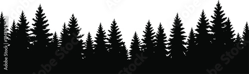 Pine forest silhouette border with tall evergreen trees forming natural landscape horizon, black vector woodland skyline isolated for nature design, decoration and outdoor themes