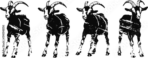Four black and white goats standing in a row with distinctive horns and textured fur detailing