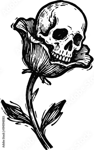 Skull emerging from flower blossom black ink drawing gothic floral tattoo design with detailed shading and line art