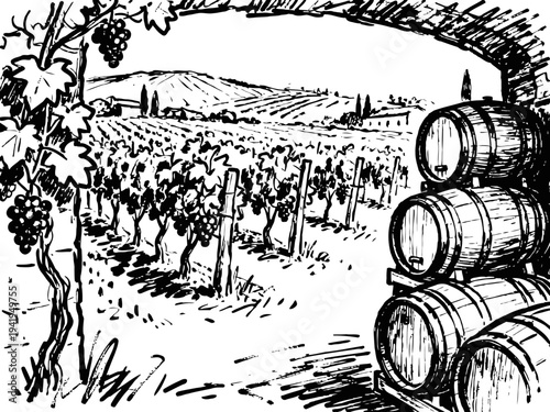 Vineyard landscape with grapevine leaves and cluster, wooden wine barrels stacked, countryside wine production scene