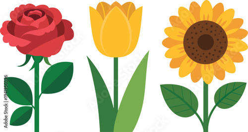 Vector illustration of a rose, tulip, and sunflower in a row, showcasing various flowers from a front viewpoint