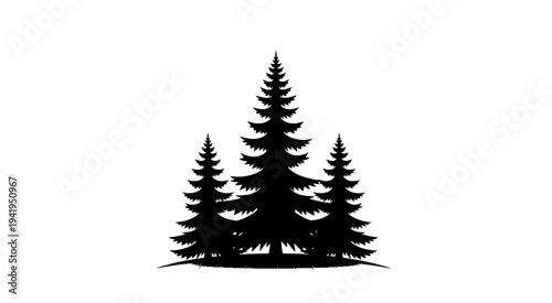 Silhouette of three evergreen trees on a hill