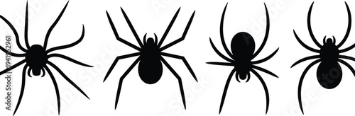 Collection of four distinct black spider silhouettes showcasing different poses and leg positions for Halloween or arachnid-themed