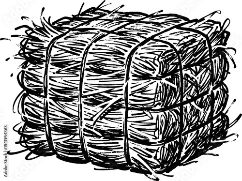 Square bale of hay tied with rope in vintage sketch style, agricultural and farming concept