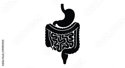 A detailed black illustration of the human digestive system including the stomach and intestines silhouette