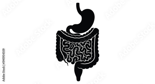 A detailed black silhouette illustration of the human digestive system including stomach and intestines silhouette