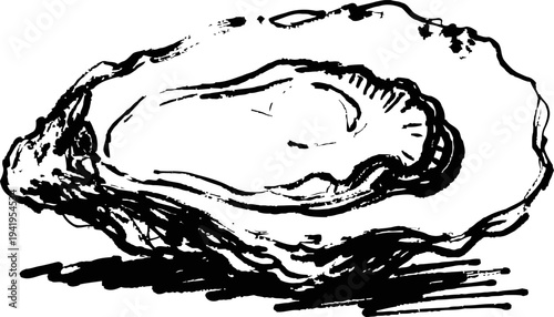 Vintage oyster shell illustration seafood mollusk sketch, marine delicacy and natural shellfish detail