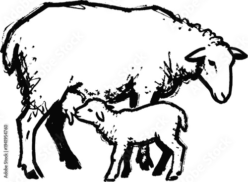 Black and white illustration of sheep and lamb nursing, farm animal sketch, rural livestock drawing