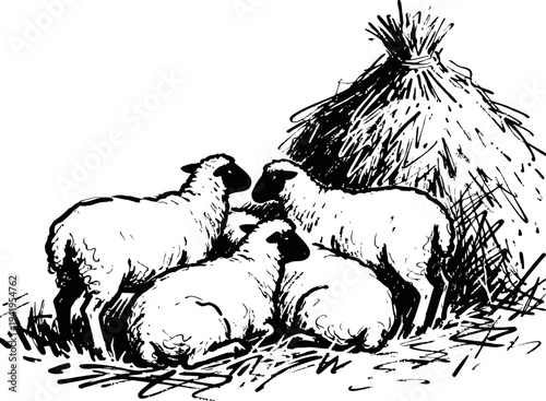 Sheep resting near haystack in pastoral countryside scene black and white sketch
