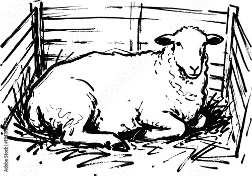 Lamb lying in wooden pen rustic farm animal resting on hay inside enclosure